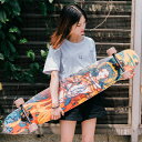 【ふるさと納税】 ロングスケートボード コンプリートデッキ 夜叉　【 スポーツ スポーツ用品 遊び スケボー 初心者 スタート 必要なもの 初めて 準備 キット 】