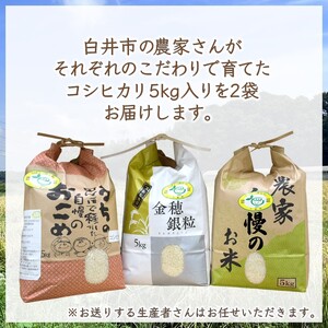 コシヒカリ 10kg  5kg × 2袋 精米したて 千葉県産 減農薬 減化学肥料 白米 千葉県産コシヒカリ こしひかり 新鮮 鮮度 米 ちばエコ農産物