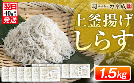 【しらす】 釜揚げしらす プレミアム 約1.5kg (130g×12パック) 小分け