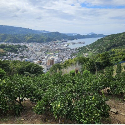 【ご家庭用】横ちゃんちの南柑20号 約10kg【C84−8】【1552439】