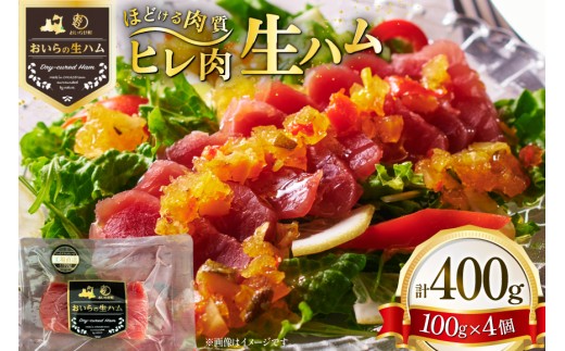 生ハム ひれ生ハム 100g×4袋 計400g [日本ハムマーケティング 青森県 おいらせ町 oi02ayo820026]  肉 豚肉 ヒレ 希少部位 冷蔵