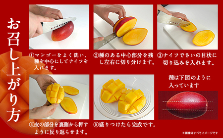 【先行受付!】宮崎県産完熟マンゴー 太陽のタマゴ【4L×2玉】化粧箱入り≪2026年5月中旬以降順次お届け≫_41-0101_(都城市) 宮崎県産 太陽のタマゴ 化粧箱入 4L 2玉 1箱 15度以上