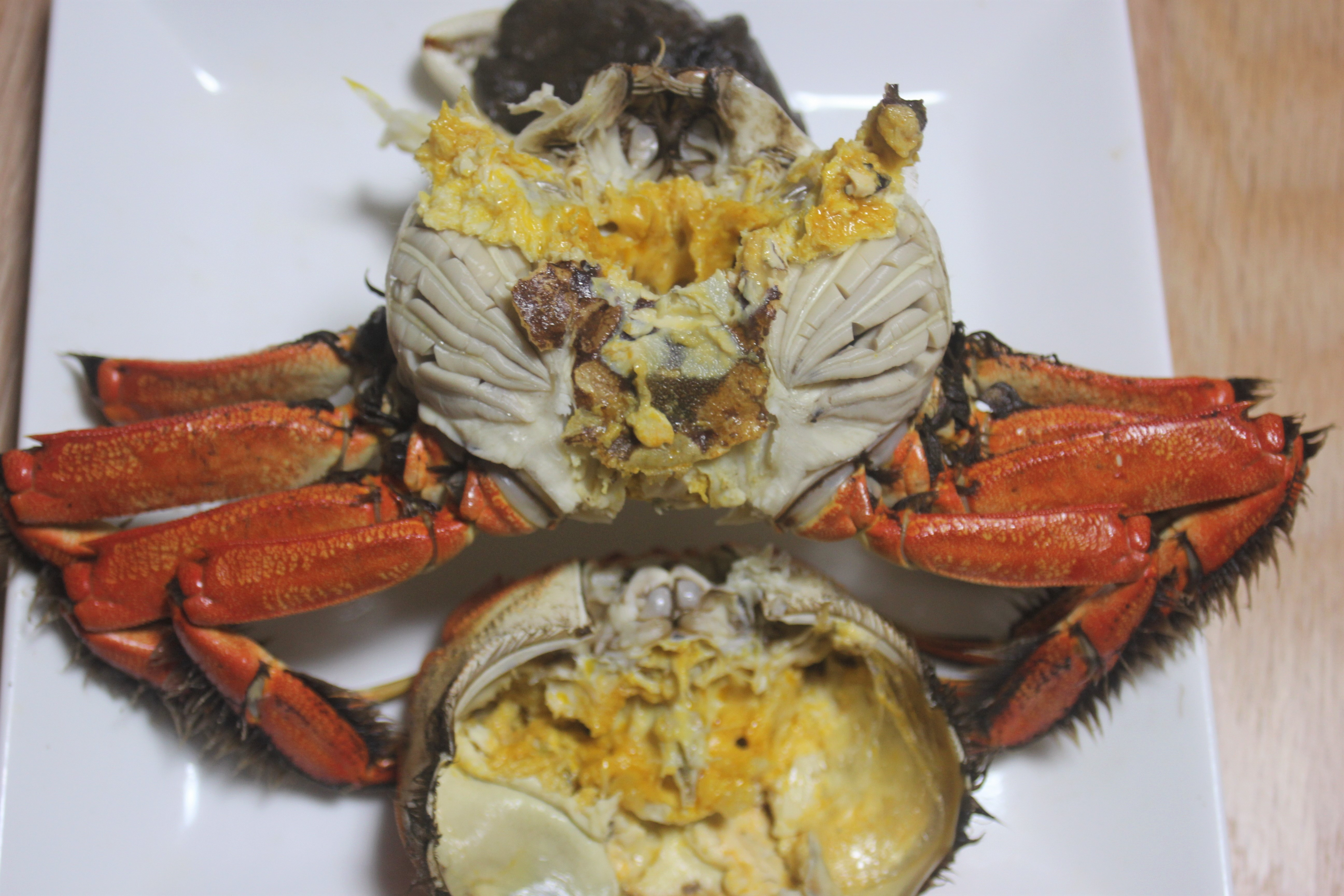 【期間限定】天然活きモクズガニ 約1kg（6～10匹、オス・メス混合）
