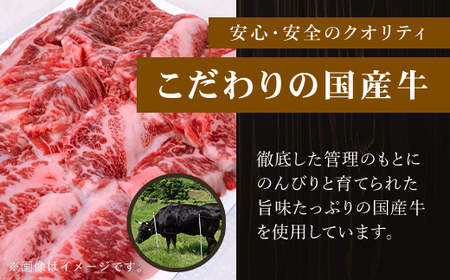 特製ラーメンとん吉　国産牛使用　復刻牛丼5食（冷凍）FCDD005