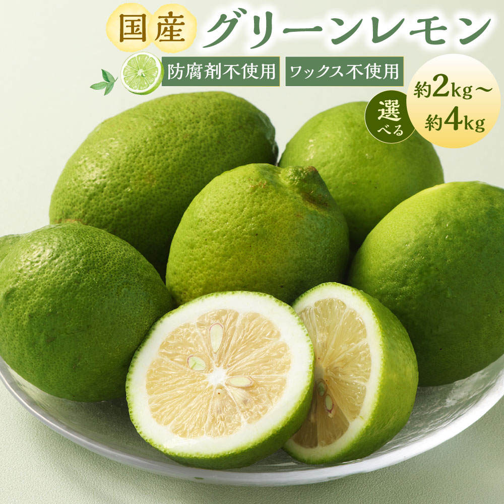 【ふるさと納税】国産グリーンレモン 約2kg～約4kg グリーンレモン レモン れもん 檸檬 果物 くだもの フルーツ 防腐剤不使用 ノーワックス 国産 静岡県産 静岡県 菊川市 送料無料【選べる容量】【2026年10月上旬～11月下旬まで順次発送予定】