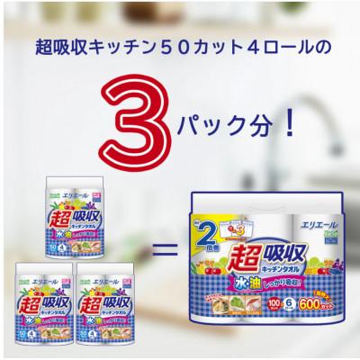 ふるさと納税 島田市 エリエール 超吸収キッチンタオル(100カット)6ロール×8セット |  | 01