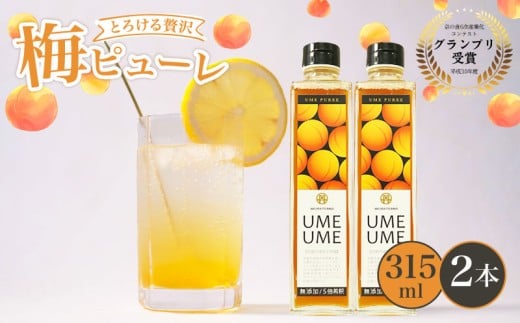 京都丹波 無添加 完熟梅ピューレ UMEUME 2本セット 315ml×2本 （5倍希釈 フルーツ 果物 梅ソーダ 完熟梅 ジュース 梅ジュース 梅肉エキス 梅シロップ 果肉 常温 炭酸水 炭酸割 瓶 贈り物 ギフト プレゼント ヨーグルト 割材 炭酸割 お酒 焼酎 カクテル 京都府 京丹波 )