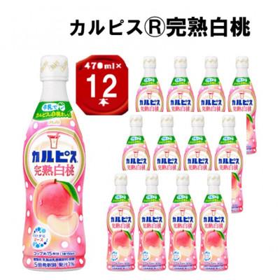 ふるさと納税 館林市 「カルピス(R) 完熟白桃」プラスチックボトル 470ml×12本