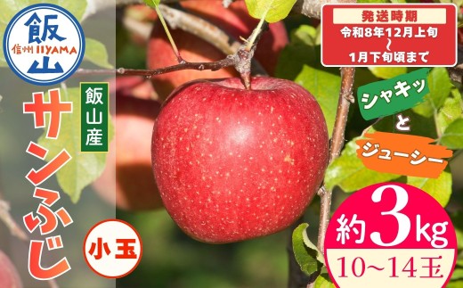 【先行予約丨2026年12月上旬より順次発送】サンふじ 小玉【約3kg(10〜14玉)】丨長野県 飯山市 サンふじ 果物 デザート おやつ おすすめ ランキング おいしい 高評価 大人気 先取り 産地直送 りんご (At-033)