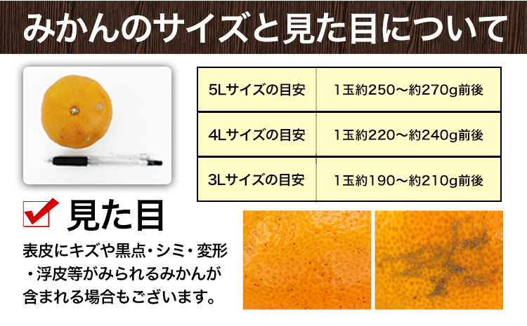 ご家庭用 熊本 大粒みかん 約2.5kg (3L～5Lサイズ)大玉 みかん 先行予約 熊本 ちょっと 訳あり 傷 たっぷり 熊本県産 熊本県 期間限定 フルーツ 旬 柑橘 長洲町 大粒みかん《2025