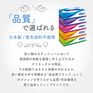 【ふるなび限定】定期便 ティッシュ クリネックス ティシュー 1ケース (5箱入×12パック)《6ヶ月ごと計2回》 ティッシュペーパー セット 柔らかい 節約 日用品 消耗品 備蓄 防災  ボックステ