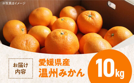 温州みかん 10kg 沢井青果[AGBN016] みかんみかんみかんみかんみかん