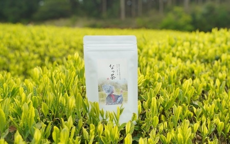 なっ茶と煎茶セット（ティーバッグ5個付） (なっ茶(釜炒り茶)40g・なっちゃんの煎茶40g・ティーバッグ5個）/ 和歌山  田辺市  健康  お茶 和風  煎茶 釜炒り茶 ティーバッグ 番茶 【nt