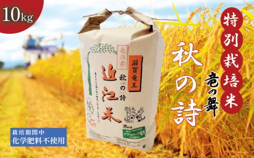 新米 【令和6年10月中旬より順次発送】 秋の詩 白米 10kg 2024年産 竜の舞 化学肥料不使用 特別栽培米 国産 安心 安全 近江米 米 お米 白米 お弁当 玄米 産地直送 滋賀県 竜王町 送料無料