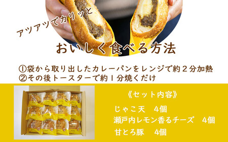 カレーパン グランプリ金賞受賞 カリットカリー 12個（3種×4個) 詰合せ 冷凍 温めるだけ