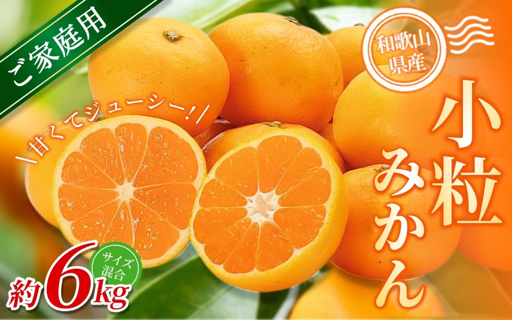 
                  【訳あり・ご家庭用】 森本農園の手選別 小粒みかん 約6kg 和歌山県産 【北海道・沖縄・離島配送不可】【2025年11月上旬～2026年2月中旬ごろに順次発送】【BV-mrmt062】
                