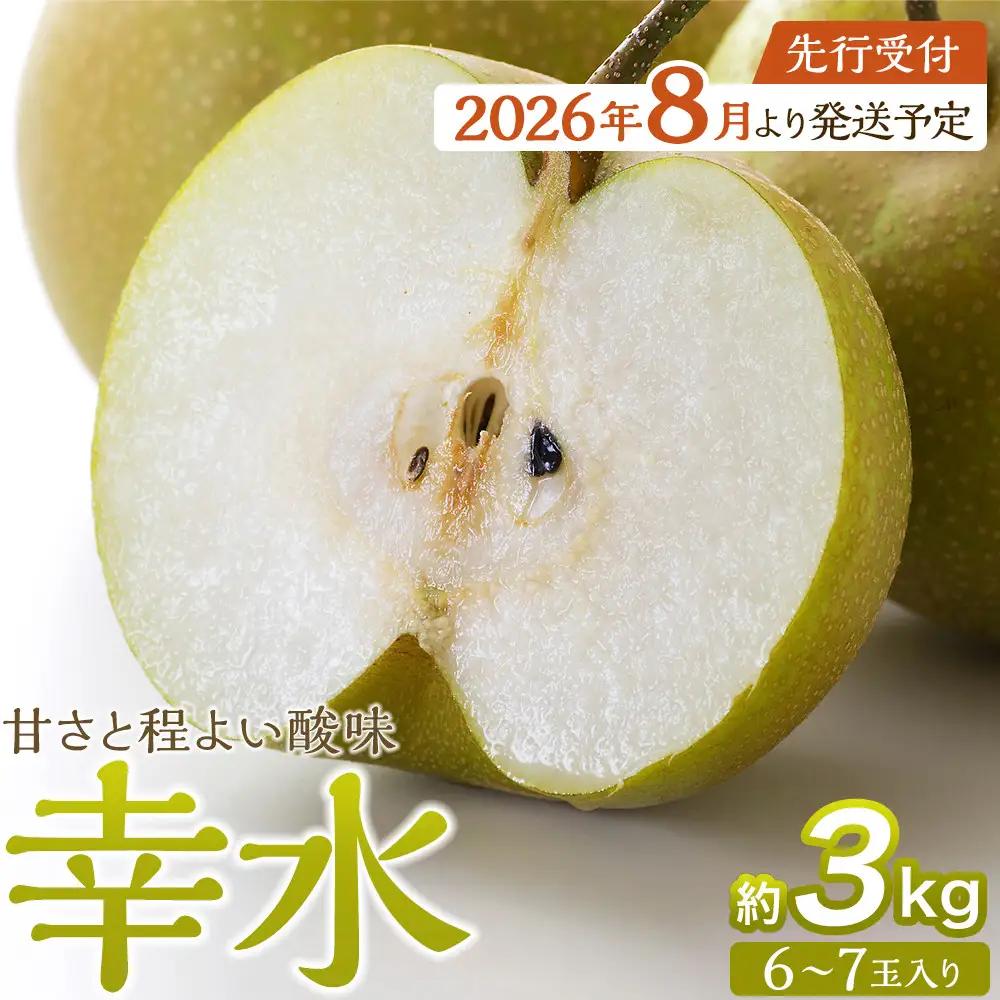 【2026年発送】梨「幸水」約3kg（6～7玉入）【松崎果樹園】 ｜ 梨 