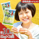 【ふるさと納税】令和6年産 コシヒカリ 10kg（5kg×2袋） 新潟県三条市下田産 こしひかり [JAえちご中越]【014S020】