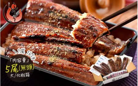 [053-c005] 国産 うなぎ蒲焼き 大サイズ 約165g × 5尾
