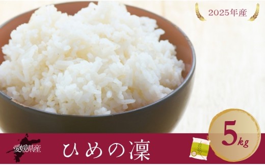 お米 5kg ひめの凜 令和7年産 愛媛県 米 愛媛県産 精米 米 こめ コメ 白米 ごはん ライス 愛媛 伊予市｜B539