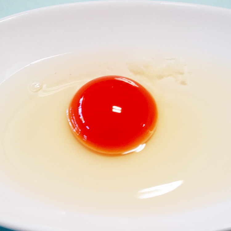 【定期便12ヶ月】烏骨鶏　濃厚な黄身！爽やかな白身が自慢！【烏骨鶏輝翔卵】20玉らくらく定期便 ◇ ※離島への配送不可