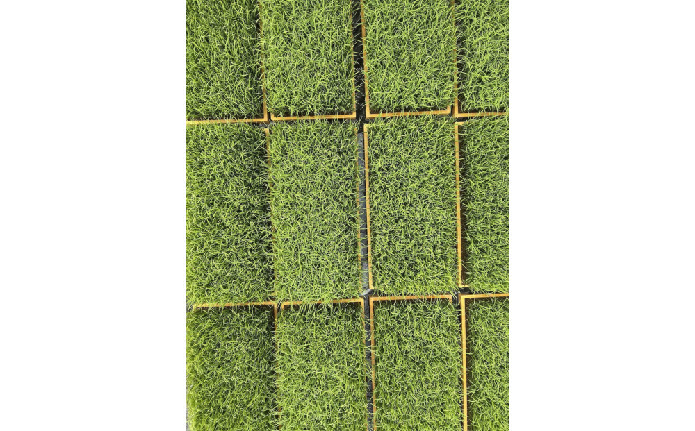 【令和7年産 新米】南魚沼塩沢産コシヒカリ＜yusui＞5kg　白米