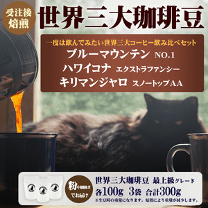 世界三大コーヒー粉 100g×3袋 詰め合わせ 【コーヒー粉】