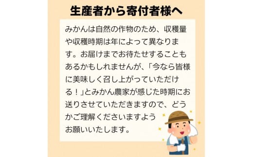 訳あり 愛媛みかん 3kg 人気 みかん 冬 秋 旬 糖度 糖度計 厳選 光センサー選果 柑橘 少量 果物 くだもの 国産 おすそ分け フルーツ スイーツ デザート お福分け みかん 蜜柑 大小 サイ