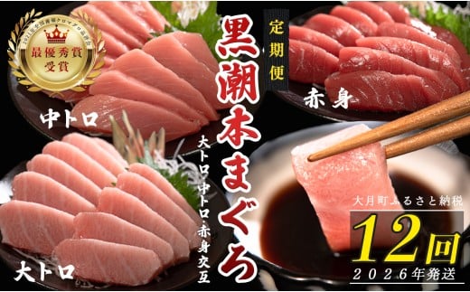 【定期便 12回】日本一!黒潮本まぐろ 大トロ・中トロ・赤身（交互）