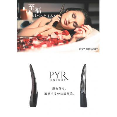 ふるさと納税 甲府市 「造形美」美顔器　LINKS　パイラナイト |  | 02