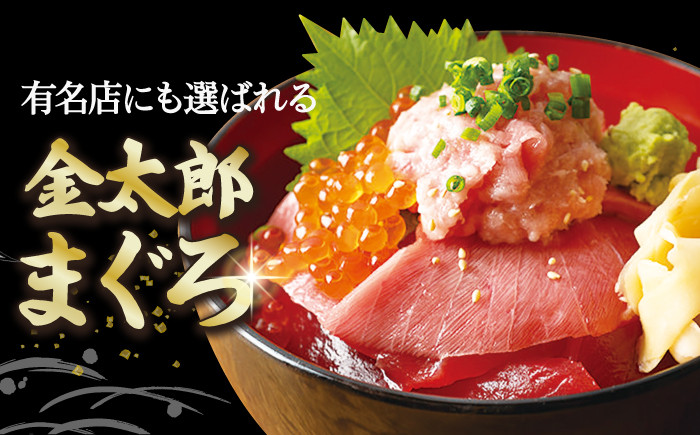 金太郎マグロ 冷凍ブロック 中トロ 赤身 約850g / まぐろ 鮪 刺身 海鮮 魚 新鮮