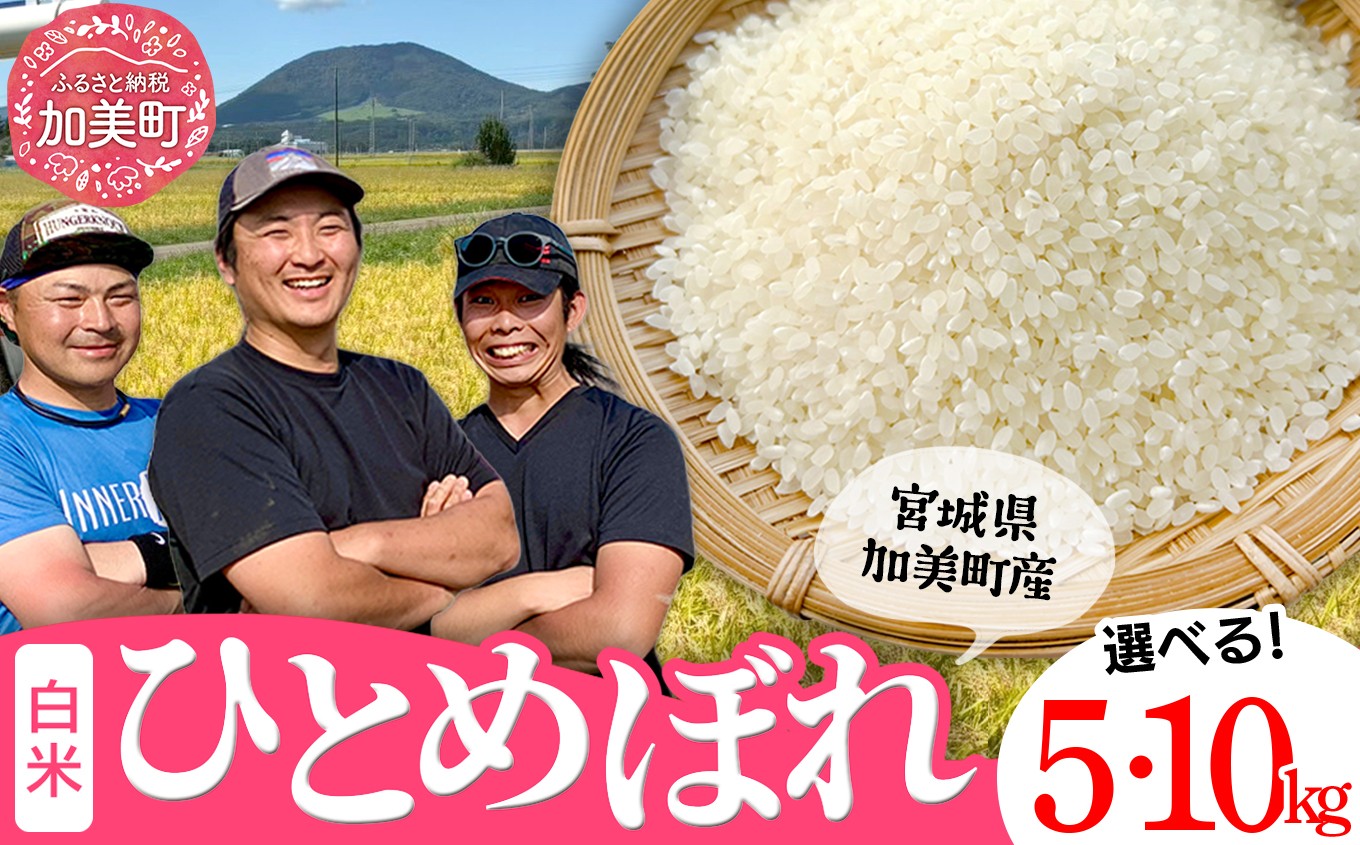 
                  【新米予約】 ひとめぼれ 米 5kg / 10kg 令和8年産 （2026年10月中旬～発送） 宮城県産 加美町産 ひとめぼれ 白米 精米 ご飯 ごはん コメ こめ お米 小分け 家庭用 結心ファーム [ 宮城県 加美町 ] |
                
