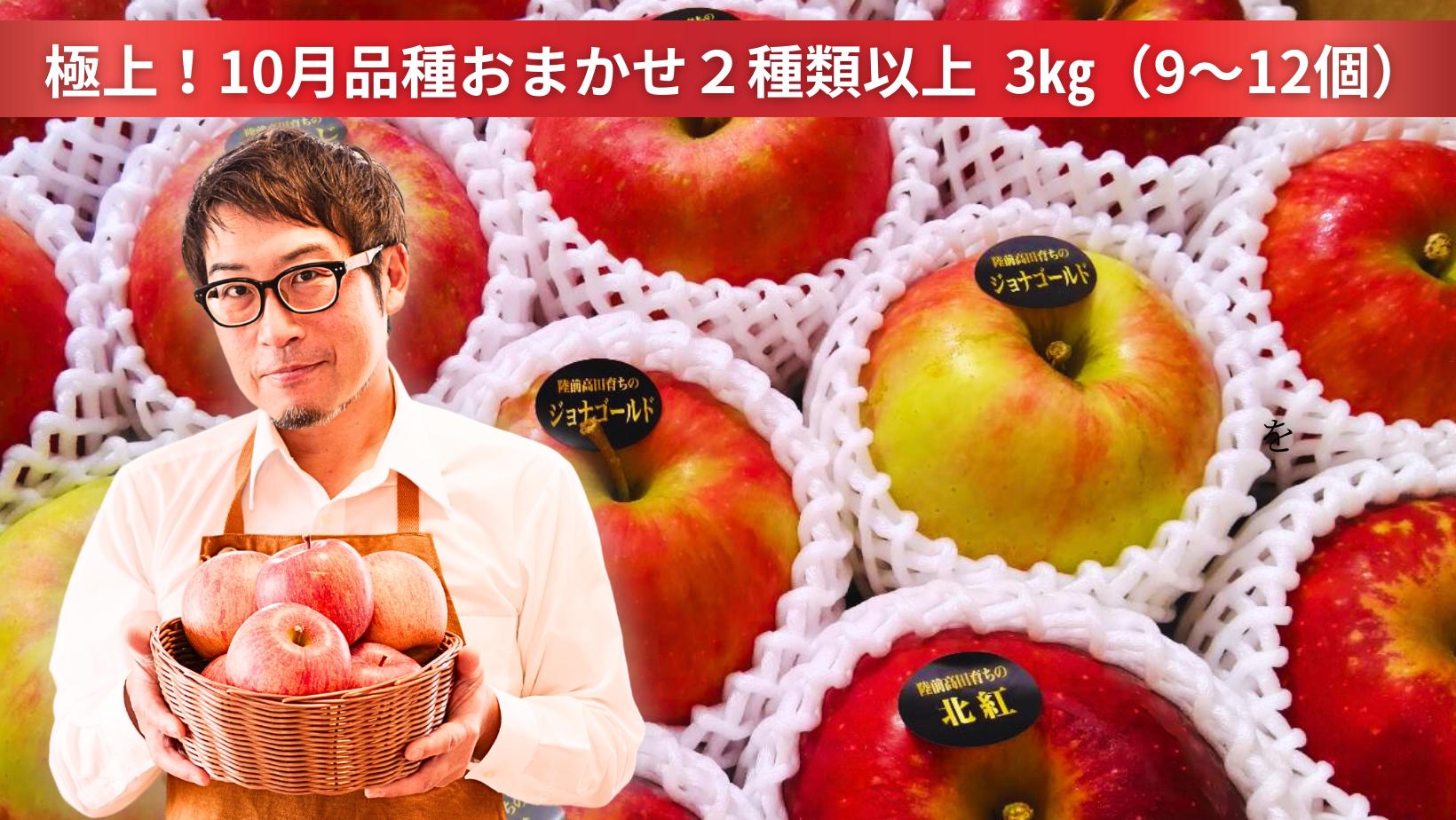 
            米崎りんご ぎゅっとセット 3kg 品種おまかせ 2種類以上お届け 【 リンゴ 旬 お届け 岩手 陸前高田 】 RT2058
          