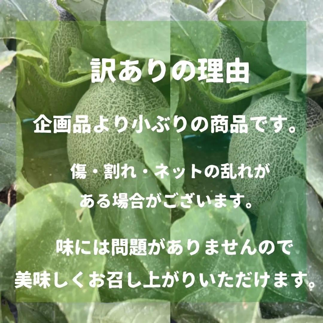 K-farmのこだわりメロン 5種類の中から おまかせ 厳選 2玉