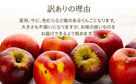 【2024年/令和6年度発送分！先行予約】甘さの中に程よい酸味があり、香り豊かな初秋のりんご【おぜの紅】訳あり　約5kg