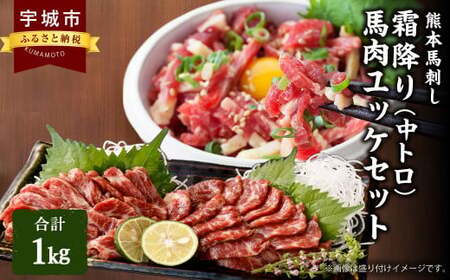 馬刺し 熊本 霜降り 小分け 1kg 【霜降り 中トロ 500g(100g×5個)  馬肉ユッケ 500g(50g×10個)】 中トロ馬刺し 霜降り馬刺し 熊本馬刺し 馬刺し堪能 馬刺し専門店