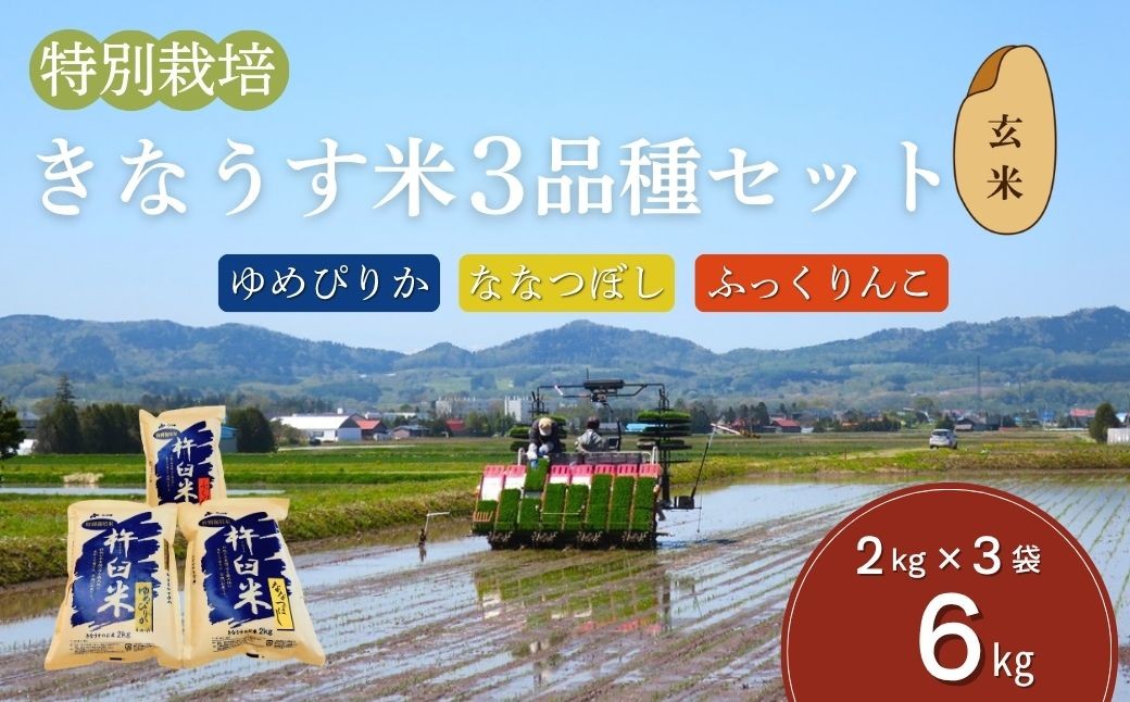 特別栽培「きなうす米」セット（玄米）2kg×3品種　C007