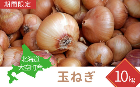 【期間限定】北海道大空町産玉ねぎ10kg 【 ふるさと納税 人気 おすすめ ランキング たまねぎ 玉ねぎ 10kg 甘い カレー 北海道産 野菜 旬 北海道 大空町 送料無料 】 OSA031 | たまねぎ たまねぎ たまねぎ たまねぎ たまねぎ たまねぎ たまねぎ たまねぎ たまねぎ たまねぎ たまねぎ たまねぎ たまねぎ たまねぎ たまねぎ たまねぎ たまねぎ たまねぎ たまねぎ たまねぎ たまねぎ たまねぎ たまねぎ たまねぎ たまねぎ たまねぎ たまねぎ たまねぎ たまねぎ たまねぎ たまねぎ たま