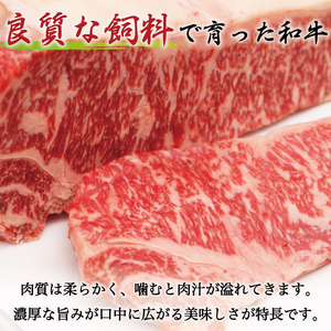 【ふるさと納税】博多和牛 牛すじ 約1kg A5～A4ランク [a0234] 株式会社マル五 ※配送不可：離島【返礼品】添田町 ふるさと納税
