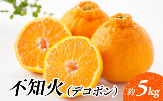 
                  [№5353-0582]でこぽん 不知火（デコポン）約5kg 柑橘 果物 フルーツ デザート ※配送不可:離島
                