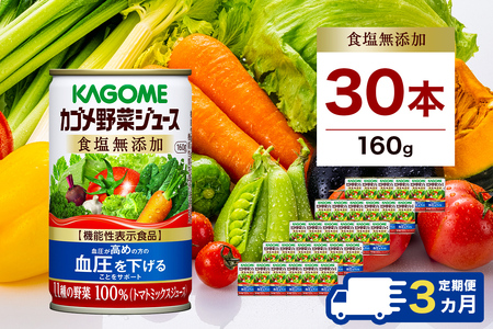 【定期便3ヵ月】 カゴメ　野菜ジュース　食塩無添加　160g缶×30本 1ケース 毎月届く 3ヵ月 3回コース【 栃木県 那須塩原市 】 ns001-020