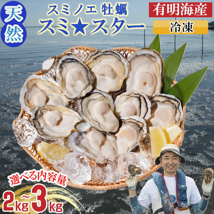 【ふるさと納税】【選べる内容量】【天然】有明海産住之江牡蠣　冷凍スミ☆スター 2キロ～3キロ 牡蠣 冷凍 スミノエ牡蠣 カキ かき 冷凍 貝 貝類 天然 送料無料 海鮮 海産 海産物 【B110-030】