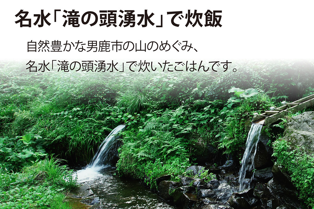 「産直ごはん」 秋田県産米 パックごはん 180g×24個 米 お米  災害時 保存食