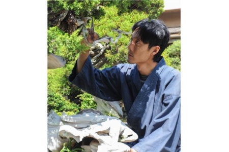 ふるさと納税限定 園主 秋山実と選ぶ 盆栽購入チケット 60,000円分 / 秋山園 / 山梨県 韮崎市