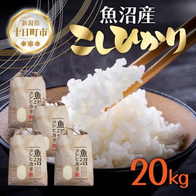 ふるさと納税 十日町市 【令和7年産 新米予約】魚沼産 コシヒカリ 20kg 精米 新潟県 十日町市 仁田地区限定