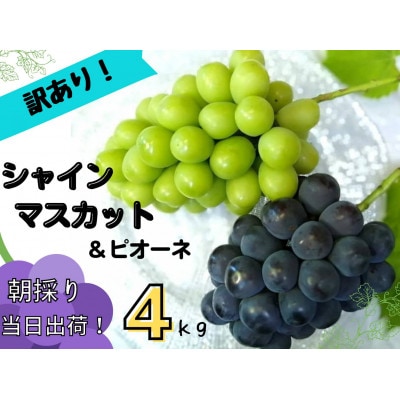 【2025年先行受付】訳あり岡山県産ぶどう詰合せ　4kg(シャインマスカット+ピオーネ)【配送不可地域：離島】【1633336】