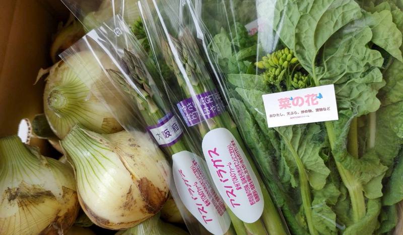 【先行予約】泉州TONOファーム厳選 春の野菜セット【新鮮 野菜 泉佐野産 やさい 数量限定 大阪 泉佐野 大阪府 泉佐野市】