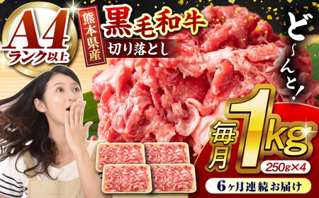 【6回定期便】熊本県産 黒毛和牛 切り落とし 計約1kg (約250g×4P)【有限会社九州食肉産業】黒毛和牛 九州産 熊本県産 切り落とし 小分け  牛肉切り落とし 切り落とし定期 切り落とし定期便 熊本県産黒毛和牛 切り落とし 国産黒毛和牛切り落とし A4ランク切り落とし A5ランク切り落とし 和牛切り落とし 九州産黒毛和牛切り落とし 切り落とし小分け 切り落とし定期 肉じゃが 炒め物 切り落とし 切り落とし肉  切り落とし牛肉  [ZDQ033]
