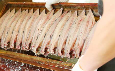 【12ヶ月定期便】 越田の干物 さば 6枚×12回  合計72枚 干物 鯖 サバ 魚 お魚 さかな 魚介類