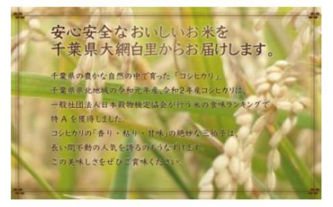 【新米先行受付】令和6年産 2年連続特A評価!千葉県産コシヒカリ20kg（5kg×4袋） E003